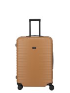 Titan Overseas M plus Canyon bronze