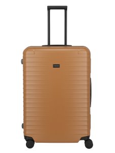 Titan Overseas L Canyon bronze