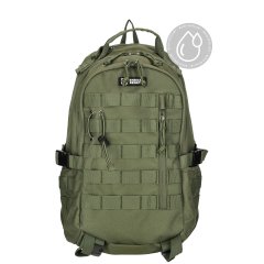 Enrico Benetti Arizona 47243 Olive