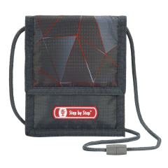 Step by Step Wallet Dragon Drako