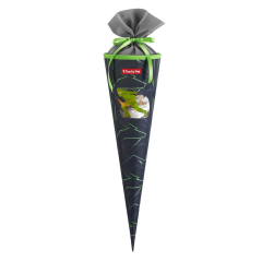 Step by Step School Cone Ninja Kimo