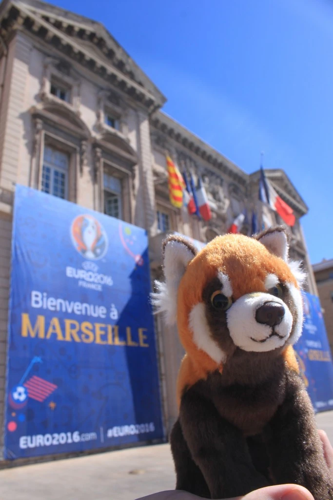 Panda în Marsilia