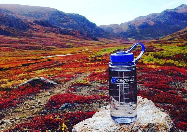 Sticla Nalgene