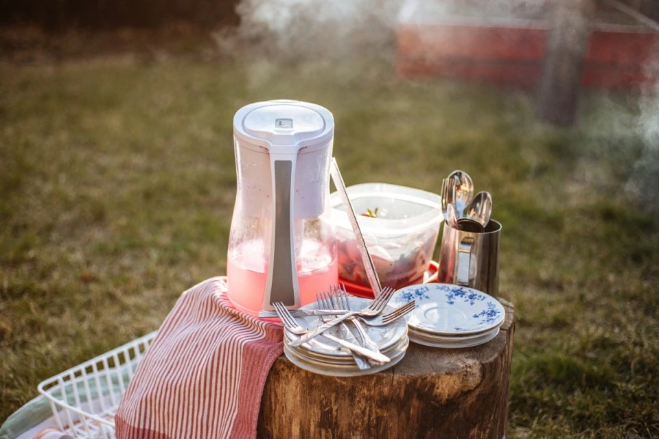 Picnic cu prietenii