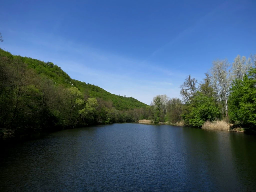 Vedere către râul Dyje