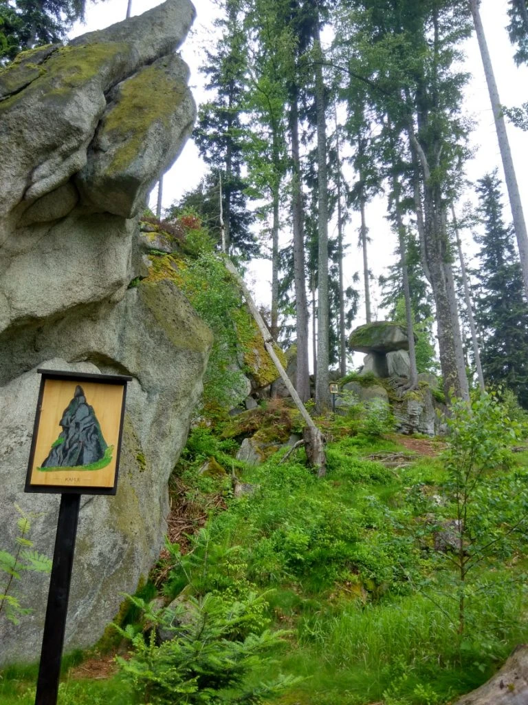 Šumava - Poteca Ursului