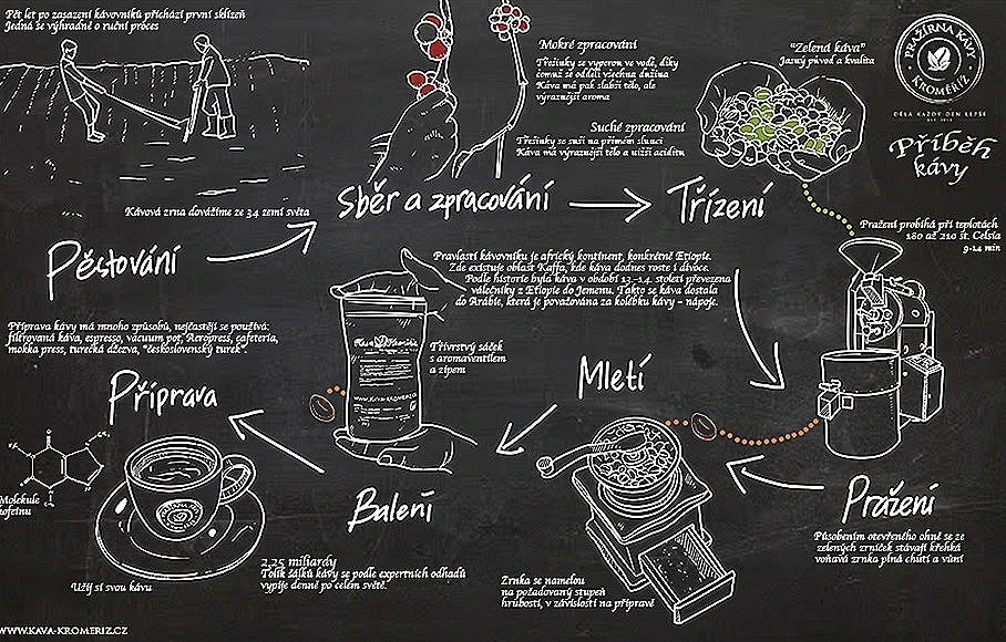 povestea și călătoriile în căutarea gustului cafelei